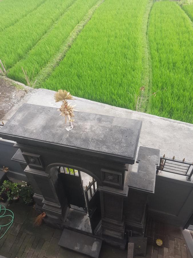Yogi Homestay تْشانغو المظهر الخارجي الصورة